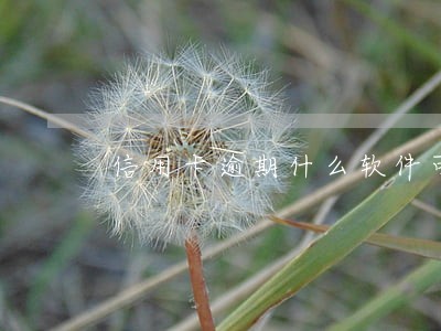 信用卡逾期什么软件可以代还 信用卡逾期什么软件可以代还