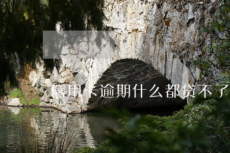信用卡逾期什么都贷不了 信用卡逾期什么都贷不了