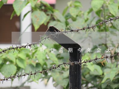 信用卡逾期今年会大幅飙升吗 信用卡逾期今年会大幅飙升吗