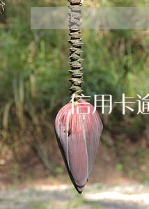 信用卡逾期今年被法院起诉了 信用卡逾期今年被法院起诉了