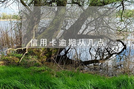 信用卡逾期从几点 信用卡逾期从几点
