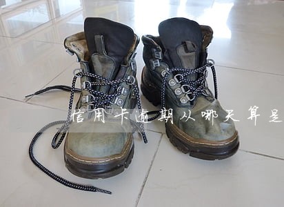 信用卡逾期从哪天算是逾期 信用卡逾期从哪天算是逾期
