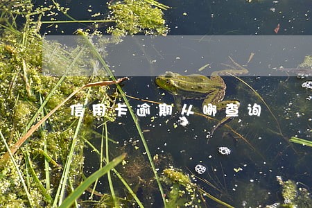 信用卡逾期从哪查询