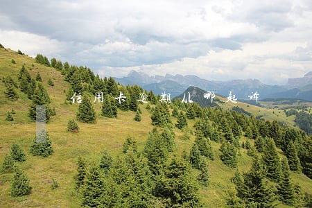 信用卡逾期从哪起诉 信用卡逾期从哪起诉