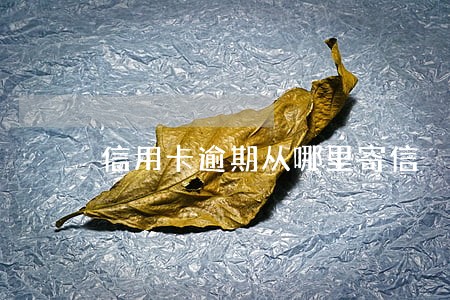 信用卡逾期从哪里寄信