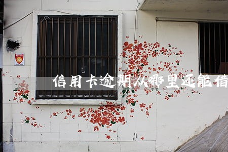 信用卡逾期从哪里还能借到钱 信用卡逾期从哪里还能借到钱