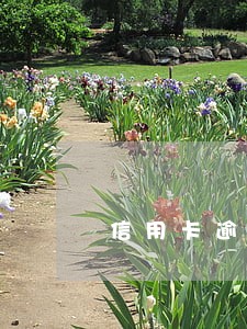 信用卡逾期从开庭到判罚 信用卡逾期从开庭到判罚