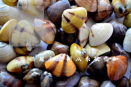 信用卡逾期从未被告知 信用卡逾期从未被告知