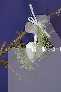 信用卡逾期从本行办的新卡 信用卡逾期从本行办的新卡