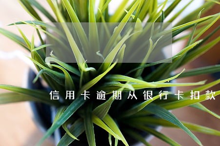 信用卡逾期从银行卡扣款