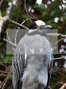 信用卡逾期从银行卡里扣