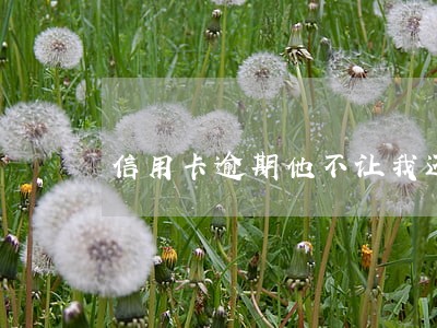 信用卡逾期他不让我还利息