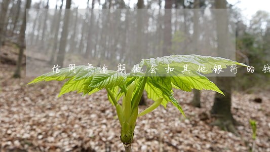 信用卡逾期他会扣其他银行的钱吗 信用卡逾期他会扣其他银行的钱吗