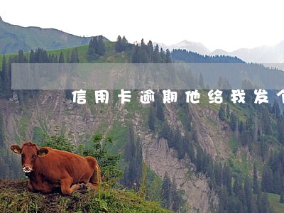 信用卡逾期他给我发个邮件 信用卡逾期他给我发个邮件