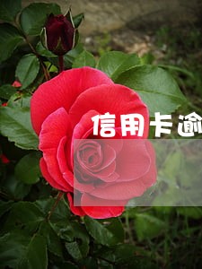 信用卡逾期他行储蓄卡被冻结 信用卡逾期他行储蓄卡被冻结