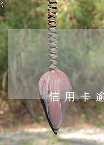 信用卡逾期付不起怎么办 信用卡逾期付不起怎么办