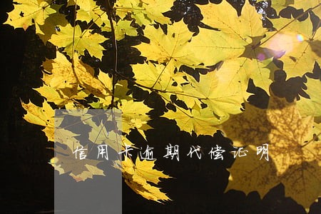 信用卡逾期代偿证明