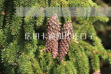 信用卡逾期代还口子 信用卡逾期代还口子