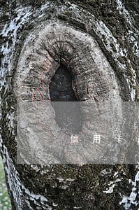 信用卡逾期以合同诈骗起诉 信用卡逾期以合同诈骗起诉