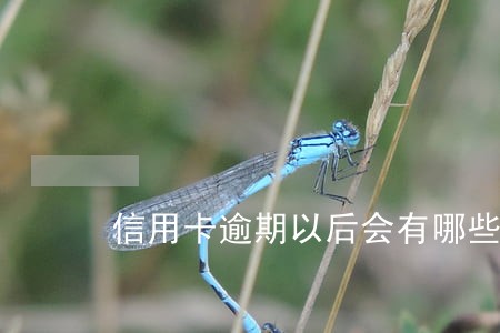 信用卡逾期以后会有哪些影响吗