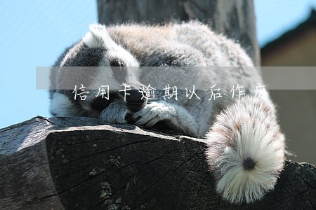信用卡逾期以后作废