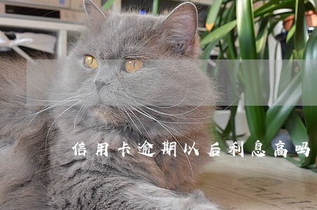 信用卡逾期以后利息高吗 信用卡逾期以后利息高吗