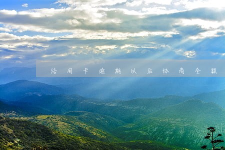 信用卡逾期以后协商全额本金 信用卡逾期以后协商全额本金