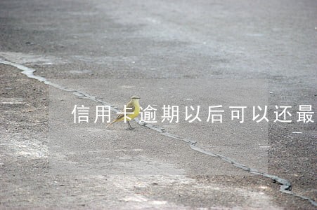 信用卡逾期以后可以还最低吗