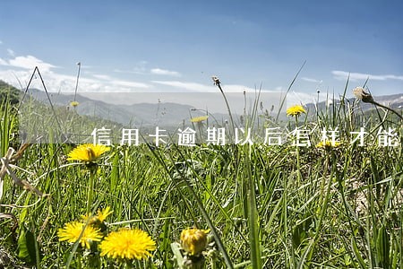 信用卡逾期以后怎样才能加代 信用卡逾期以后怎样才能加代
