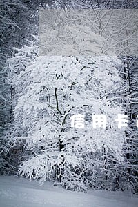 信用卡逾期以后扣除利息 信用卡逾期以后扣除利息