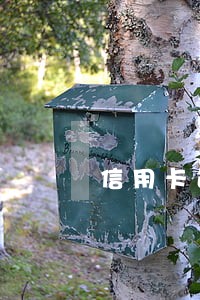 信用卡逾期以后把钱还上还能用吗