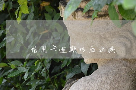 信用卡逾期以后止损 信用卡逾期以后止损