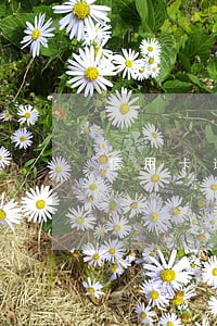 信用卡逾期以后电话接不接
