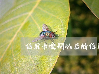信用卡逾期以后的信用卡吗 信用卡逾期以后的信用卡吗