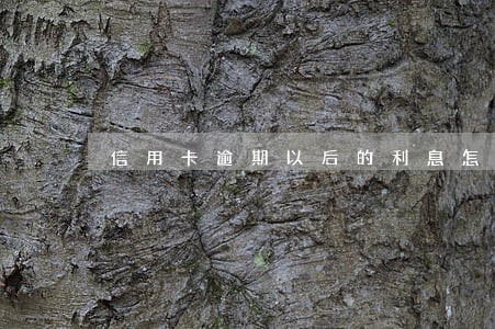 信用卡逾期以后的利息怎么算