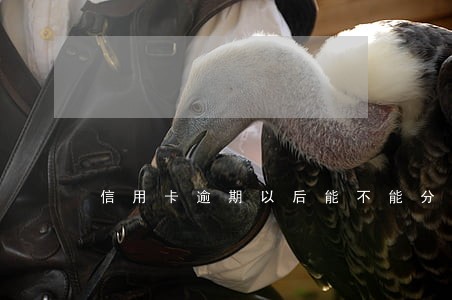 信用卡逾期以后能不能分期 信用卡逾期以后能不能分期