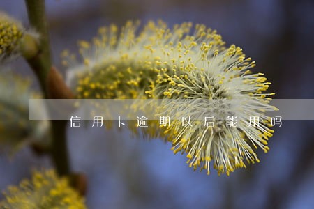 信用卡逾期以后能用吗