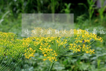 信用卡逾期以后能还最低还 信用卡逾期以后能还最低还