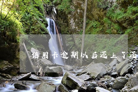 信用卡逾期以后还上了还用销卡么