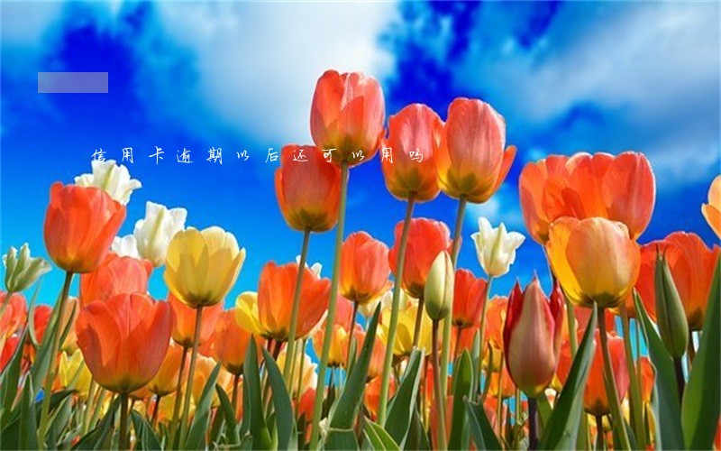 信用卡逾期以后还可以用吗