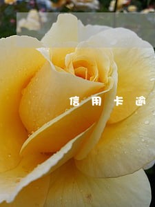 信用卡逾期以后还最低
