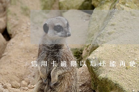 信用卡逾期以后还能再使用吗 信用卡逾期以后还能再使用吗