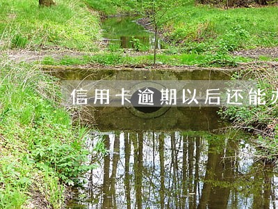 信用卡逾期以后还能办网贷吗 信用卡逾期以后还能办网贷吗