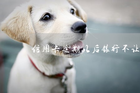 信用卡逾期以后银行不让分期 信用卡逾期以后银行不让分期