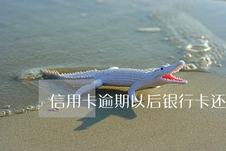 信用卡逾期以后银行卡还能用吗