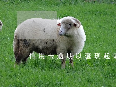 信用卡逾期以套现起诉 信用卡逾期以套现起诉