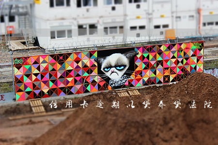 信用卡逾期以贷养贷法院怎么判 信用卡逾期以贷养贷法院怎么判