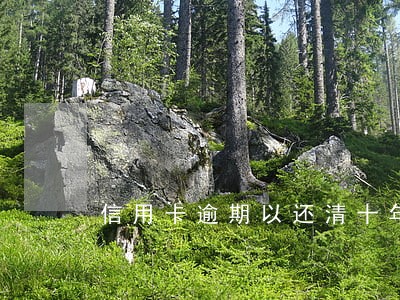 信用卡逾期以还清十年前 信用卡逾期以还清十年前