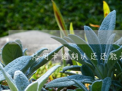 信用卡逾期以还还能是吗 信用卡逾期以还还能是吗