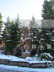 信用卡逾期任意花能提现吗 信用卡逾期任意花能提现吗